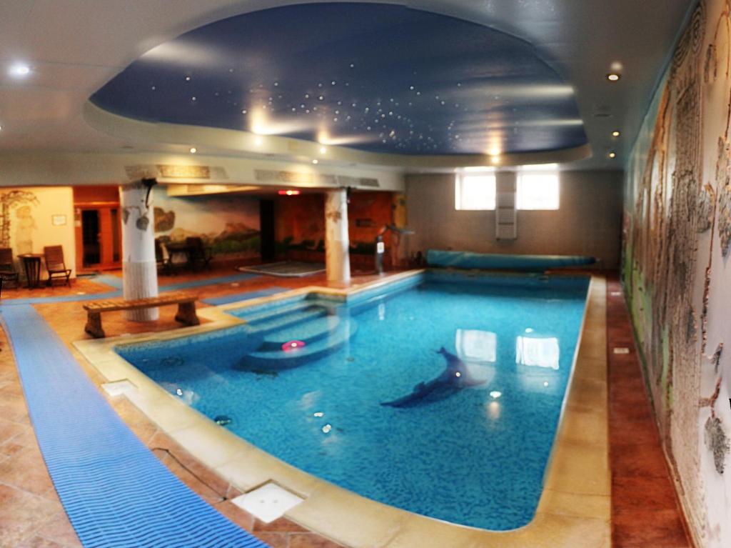 Kryty Basen Hotel Rubbens & Monet Toruń